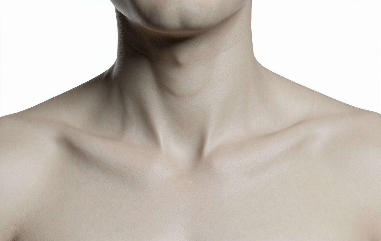 Respiratory mechanics focus